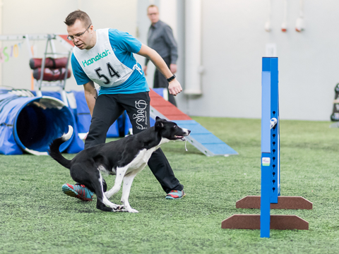 Agility