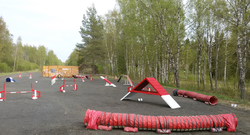 Active Dog -kentät Martinniemessä